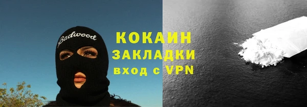 прущие крисы Гусев
