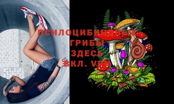 дмт Горнозаводск