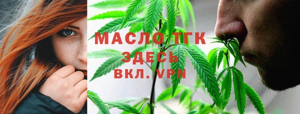 прущие крисы Гусев