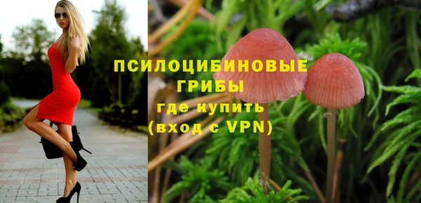 дмт Горнозаводск
