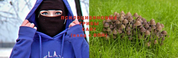 дмт Горнозаводск