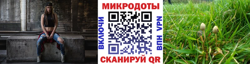 Псилоцибиновые грибы Psilocybe купить Меленки